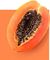 PAPAYA